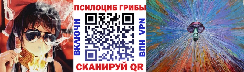 закладки Руза Галлюциногенные грибы Cubensis